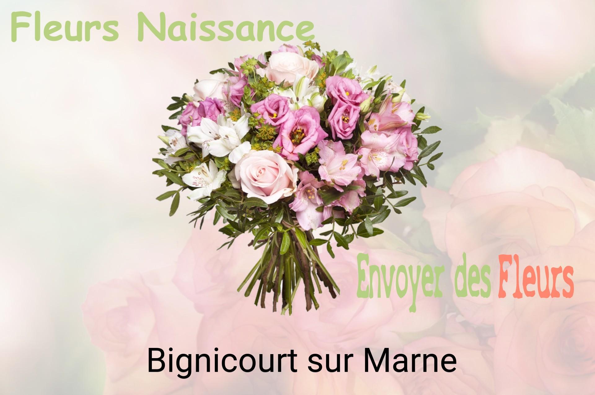 Bouquet de fleurs de naissance livré à Bignicourt-sur-Marne